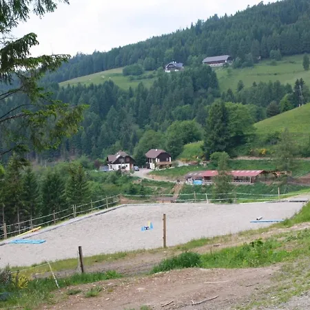 Appartamento In A Wooden Chalet In Carinthia Near The Ski Area *